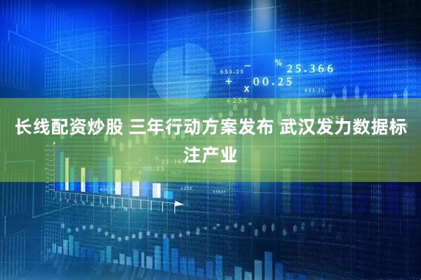 长线配资炒股 三年行动方案发布 武汉发力数据标注产业