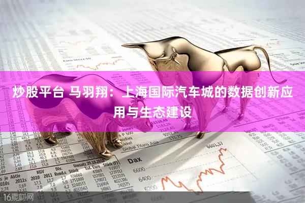 炒股平台 马羽翔：上海国际汽车城的数据创新应用与生态建设