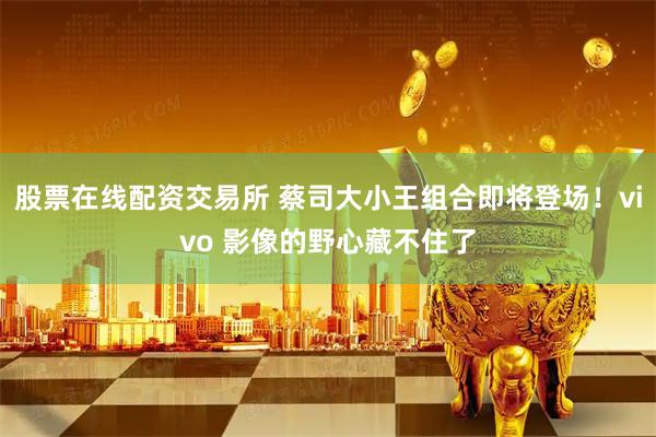 股票在线配资交易所 蔡司大小王组合即将登场！vivo 影像的野心藏不住了
